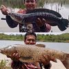 abangmancingbatam