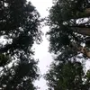 eli47833