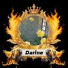 darinea2