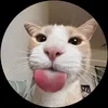 hoangvu_027
