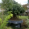 user44200808205186