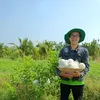 N.T.Lộc