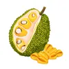 nannhan_tinhyeu