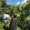 queen.lamiya.57
