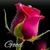 jess.khan0
