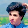 qaseem.khan.225