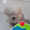 josue.castillo493