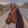 alkaabi_9090
