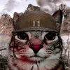 dziq___