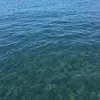michele.boiano