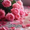 almtymbdr50585