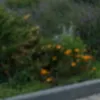 usernamebeca1122