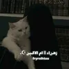 fryrolhtuu