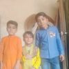 shahkaife