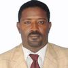 dr.ibrahimhasanmahmouda5