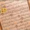 fatma36206