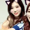j.oone8