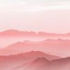 alltrendy_finds