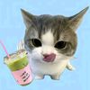 its_mairaa20