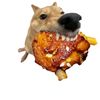 ushhafaag