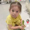 cugoitola_chipp