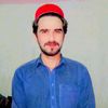 barkatalibhatti510