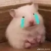 ayeiichann