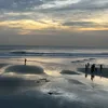 hoaikim8