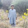 kashif.afridi29