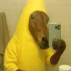 barocuoisong