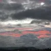 brenanguyeu