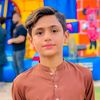 hassnain.shareef