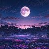 sunshine.moonligh4