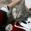 batit.khadija