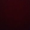 aslan__3313