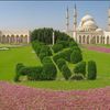 shah.haruddin