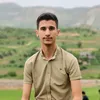 hastyar2442