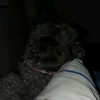 kukikawaii2