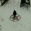 i_d1e1d
