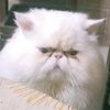 hamza.usma7