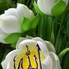 user12203818170786