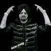 rajpoot81789