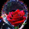 leilianesouza1306