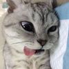 sugargliderrrrr0