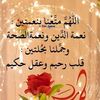 ali.hocine11