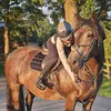 leximoore.equine