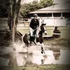 claras_horselife