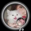.1moon11