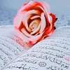 aird.aljamal