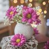 honeymoons257